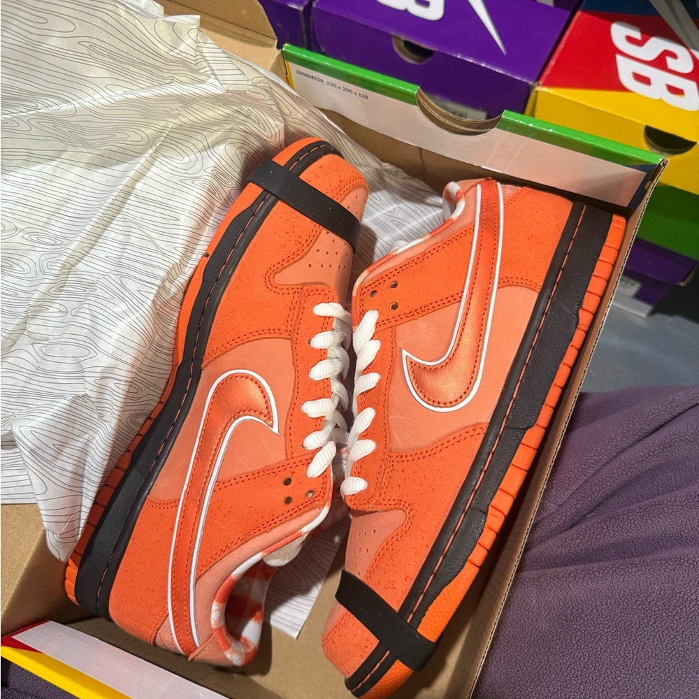 Brand new
